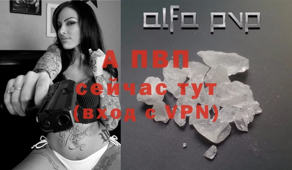 спиды Мегион