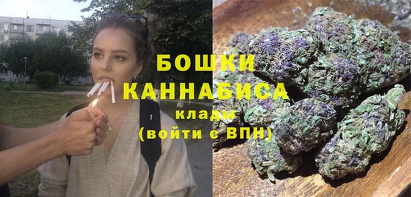 ешки Тавда
