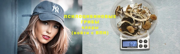 спиды Мегион