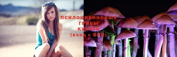 тгк Сосновый Бор
