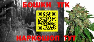 твердый Гай